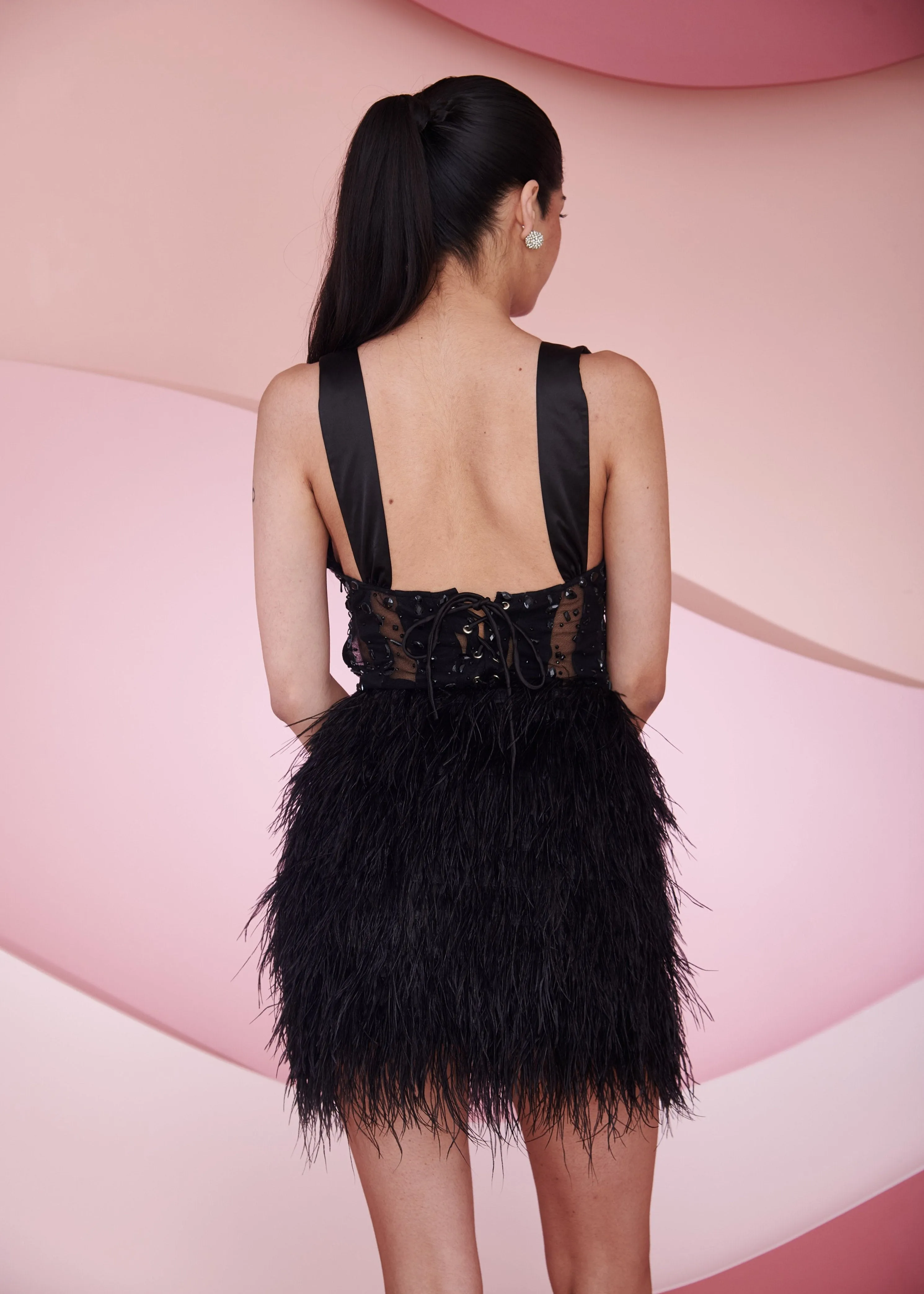 Airi Black Embroidered Rhinestone and Feather Corset Mini Dress