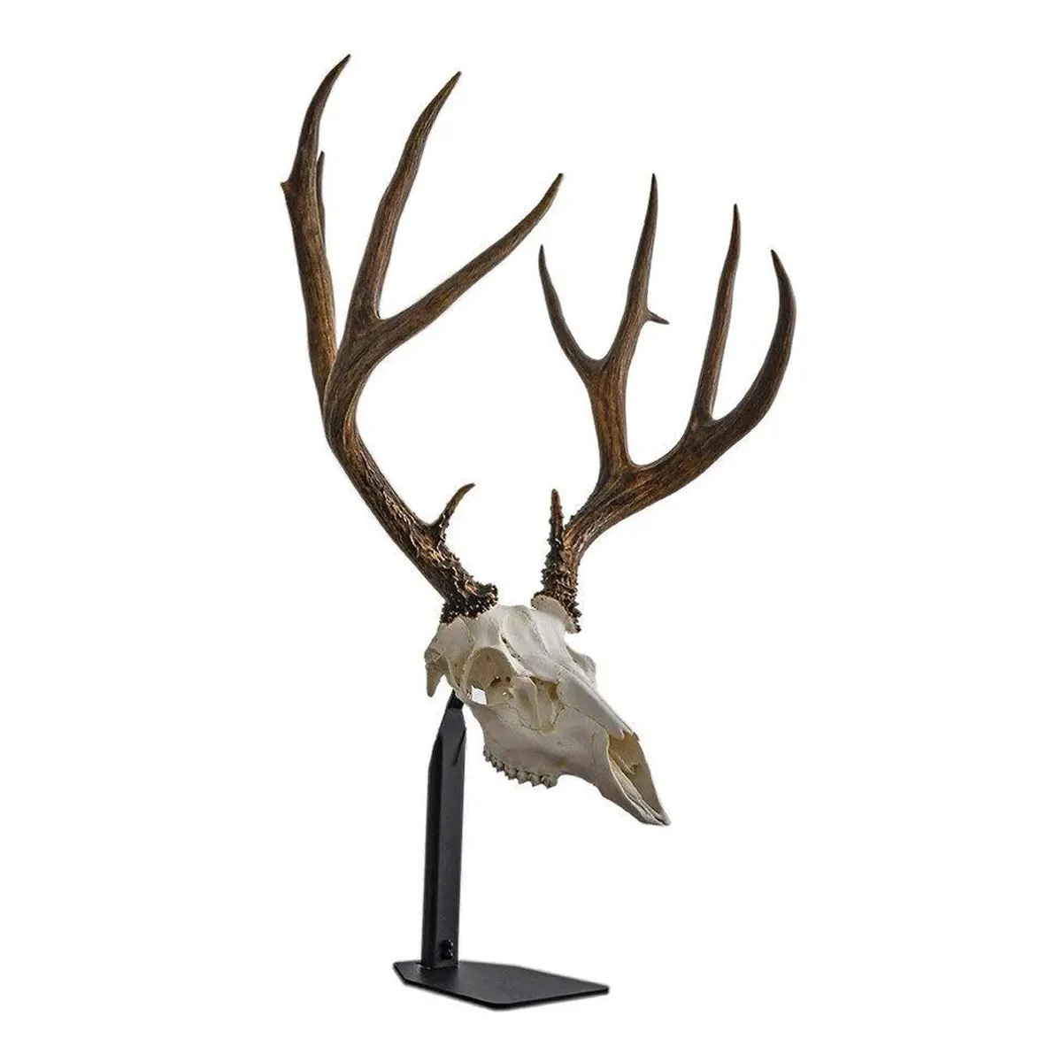 Dead On Display Desktop European Skull Mount Bracket