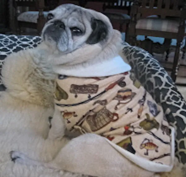 Sleepwear: Pajama's for Boy Pugs